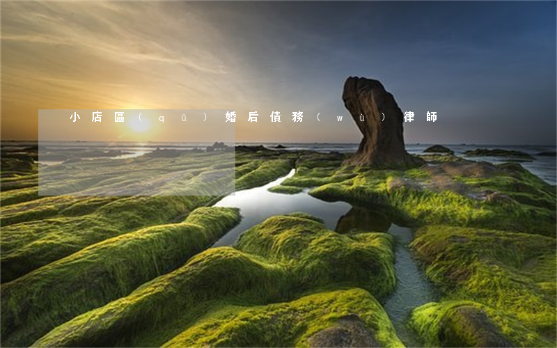 小店區(qū)婚后債務(wù)律師