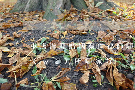 小店辦理婚姻案件律師哪個好(小店律師事務(wù)所哪家好)