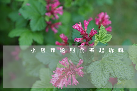 小店邦逾期会被起诉嘛