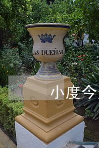 小度今天式離婚(小度今天是什么日子)