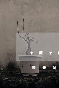 小度小度微粒贷还款后卡不成功-微粒贷还款卡是怎么回事