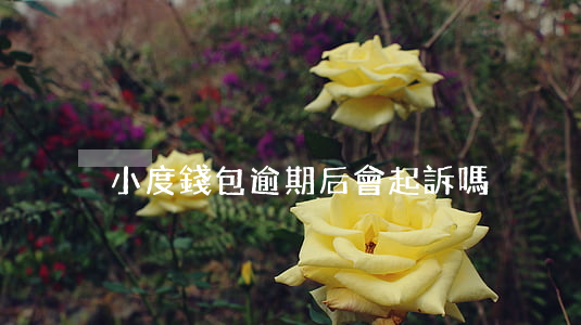 小度錢包逾期后會起訴嗎