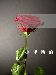 小律所的律師靠譜嗎