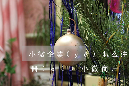 小微企業(yè)怎么注冊(cè)(如何注冊(cè)小微商戶)