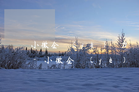 小微企業(yè)無力償還個人欠款怎么辦-小微企業(yè)無力償還個人欠款怎么辦理