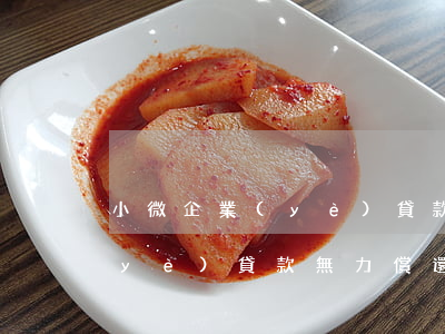 小微企業(yè)貸款無力償還(小微企業(yè)貸款無力償還 法人要負刑事責(zé)任嗎)