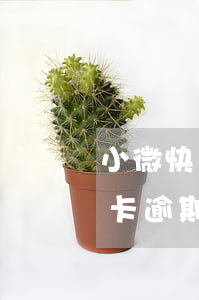 小微快貸法人信用卡逾期(小微快貸法人信用卡逾期)