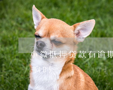 小微抵押贷款有逾期(小微抵押贷款有逾期影响吗)