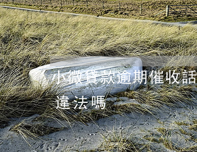 小微貸款逾期催收話術(shù)(小貸催收違法嗎)