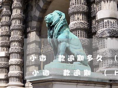 小微貸款逾期多久會(huì)影響征信-小微貸款逾期會(huì)怎么樣