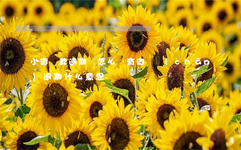 小微貸款逾期會怎么樣（有微貸產(chǎn)逾期什么意思）