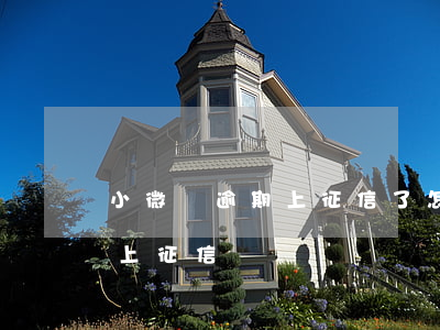 小微貸逾期上征信了怎么辦-小貸平臺逾期上征信?