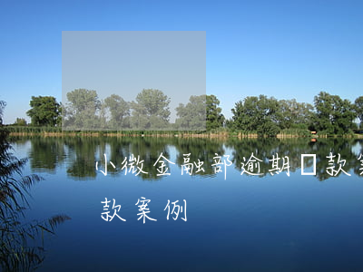 小微金融部逾期貸款案例(小微金融部逾期貸款案例)
