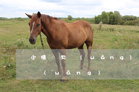 小情侶欠網(wǎng)貸100萬(欠一萬網(wǎng)貸)