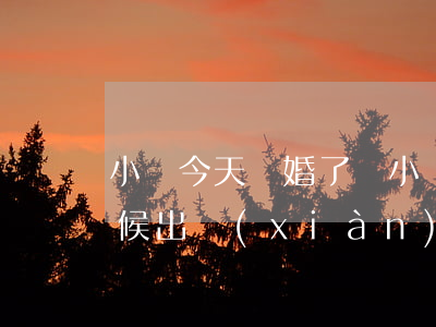 小愛今天離婚了嗎(小愛是什么時(shí)候出現(xiàn)的)