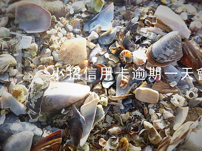 小招信用卡逾期一天會(huì)怎么樣