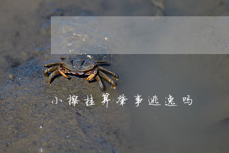 小擦挂算肇事逃逸吗
