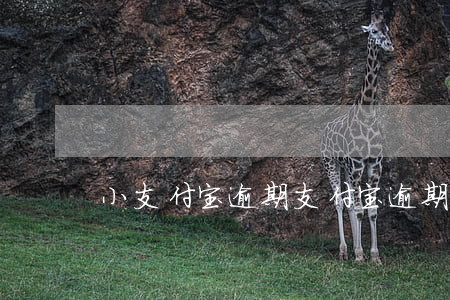 小支付宝逾期(支付宝逾期有事吗)