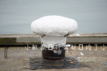 小敏家為什么都離婚了(小敏今年多大)