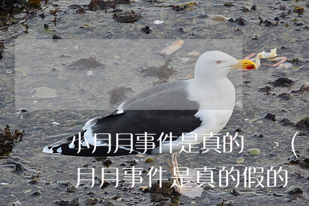 小月月事件是真的嗎(當(dāng)年的小月月事件是真的假的)