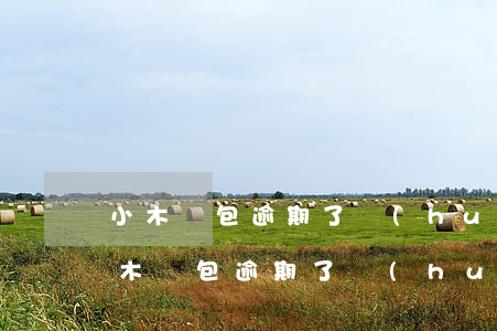 小木錢包逾期了會(huì)被起訴嗎-小木錢包逾期了會(huì)被起訴嗎