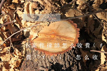 小案件律師怎么收費(fèi)(律師辦案收費(fèi)怎么收)