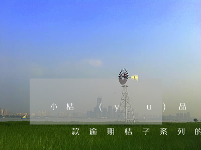 小桔優(yōu)品網(wǎng)貸說我貸款逾期 桔子系列的網(wǎng)貸