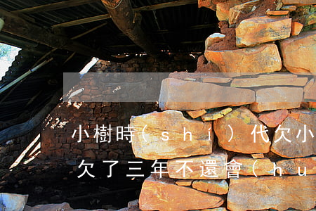 小樹時(shí)代欠(小樹時(shí)代欠了三年不還會(huì)怎樣)