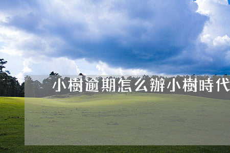 小樹逾期怎么辦 小樹時代逾期說要起訴