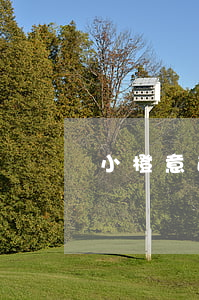 小橙意逾期催收-小橙意逾期催收停止了