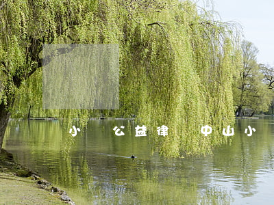 小欖公益律師(中山小欖律師事務(wù)所電話)