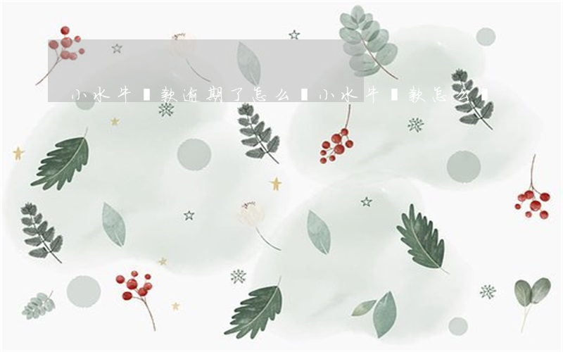 小水牛貸款逾期了怎么辦(小水牛貸款怎么樣)