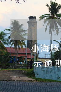 小海豚已還款還顯示逾期(小海豚已還款還顯示逾期)