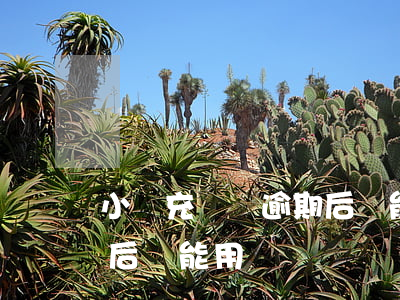 小滿充電寶逾期后還能用嗎（小滿充電寶逾期后還能用嗎）