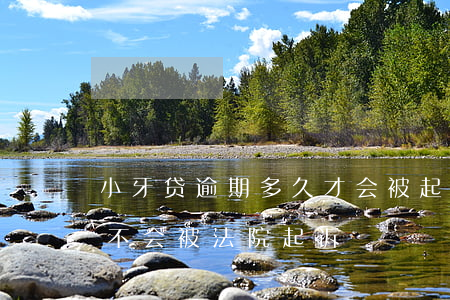 小牙贷逾期多久才会被起诉(小额贷款逾期会不会被法院起诉)