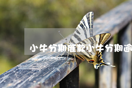 小牛分期催款（小牛分期逾期要怎么還）