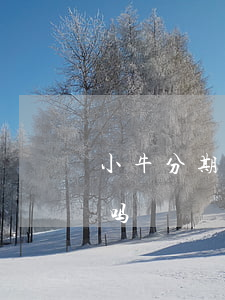 小牛分期逾期三天(小牛分期现在还不了款了吗)