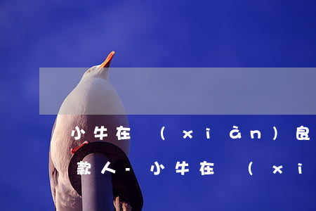 小牛在線(xiàn)良性清退方案逾期還款人-小牛在線(xiàn)良性退出本金能回來(lái)嗎