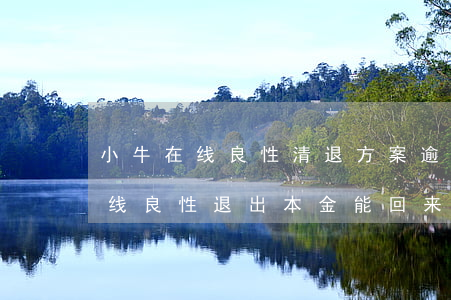 小牛在线良性清退方案逾期还款人-小牛在线良性退出本金能回来吗