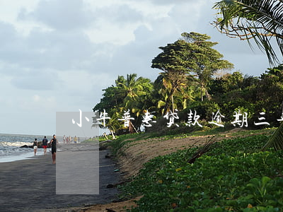 小牛普惠贷款逾期三年