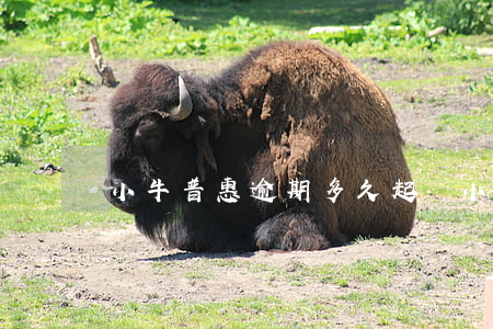 小牛普惠逾期多久起訴(小牛普惠逾期多久起訴)