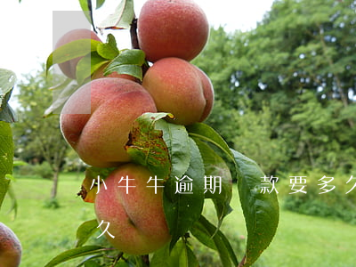 小牛牛逾期還款要多久(小牛牛逾期還款要多久)