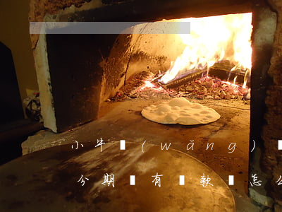 小牛網(wǎng)貸分期不還會怎樣(小牛分期沒有還款會怎么樣)