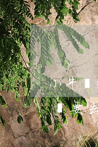 小牛貸款逾期三個(gè)月(小牛分期逾期說要去家里面了是不是真的)