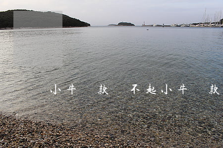 小牛貸款還不起(小牛貸款還不起)