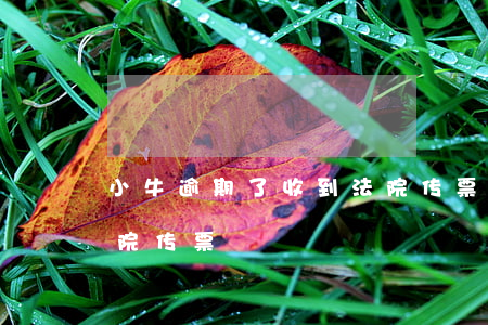 小牛逾期了收到法院传票(小牛逾期了收到法院传票)