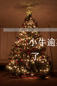 小牛逾期会被起诉么(小牛分期发诉讼案件来了)