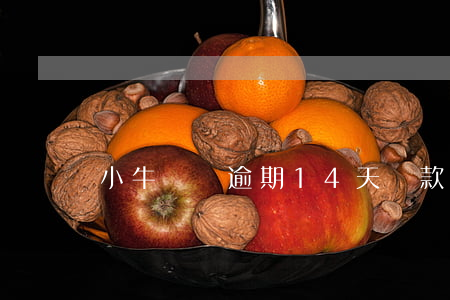小牛閃貸逾期14天還款(小閃貸15天)