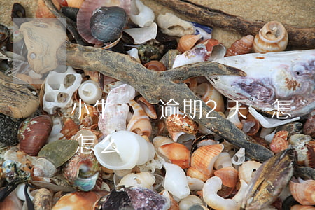 小牛閃貸逾期2天會怎樣-小牛貸款不還會怎么樣