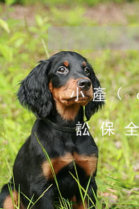小產(chǎn)權(quán)房可以訴訟保全嗎(按揭房可以起訴申請(qǐng)財(cái)產(chǎn)保全不)
